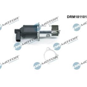 AGR-Ventil DRM181101 für DACIA
