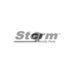 Acquista Supporto braccio oscillante da STORM QUALITY PARTS F2026 a buon mercato per soli 6,23 €