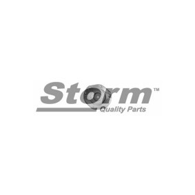 Acquista Supporto ammortizzatore da STORM QUALITY PARTS F2231 a buon mercato per soli 27,54 €