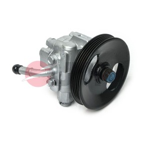 Servopumpe 90K0529-JPN