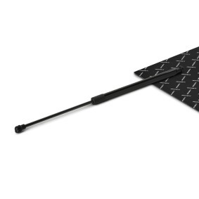 Achetez des Vérin de coffre RIDEX 219G1069 à prix pour 17,40 €