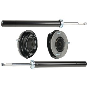 Stoßdämpfer-Set 1185S0059
