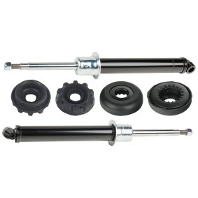 Stoßdämpfer-Set von RIDEX 1185S0060