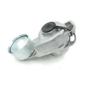 Comprar Tensor de correa poli V de CZM CZM111560 a bajo precio de 35,57 €