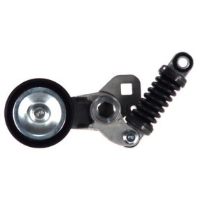 Comprar Tensor de correa poli V de CZM CZM111566 a bajo precio de 38,99 €