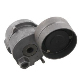 Comprar Tensor de correa poli V de CZM CZM111570 a bajo precio de 32,11 €
