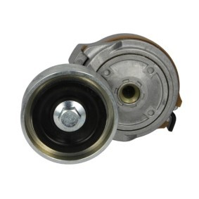 Comprar Tensor de correa poli V de CZM CZM111571 a bajo precio de 30,84 €