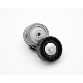 Compre Rolo tensor, correia trapezoidal estriada de IVECO online para PS10 / Anibal Pick-up a preços moderados