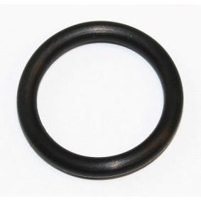Dichtung, Thermostatgehäuse 473.920