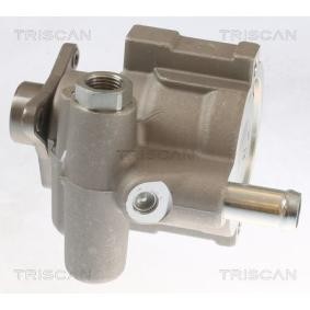 Servopumpe von TRISCAN