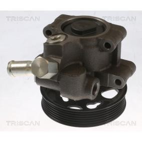 Servopumpe von TRISCAN