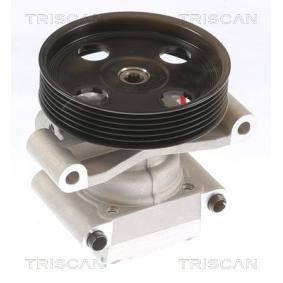 Servopumpe von TRISCAN