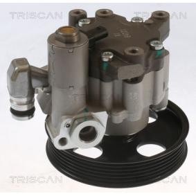 Servopumpe von TRISCAN