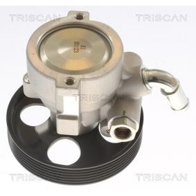 Servopumpe von TRISCAN