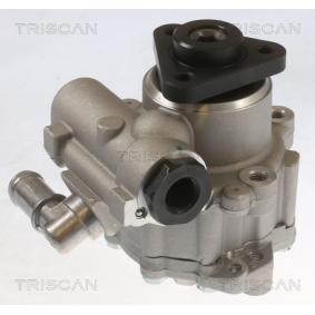 Servopumpe von TRISCAN