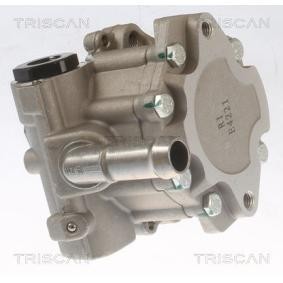Servopumpe von TRISCAN