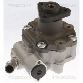 Servopumpe von TRISCAN
