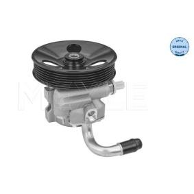 Servopumpe 29-14 631 0006