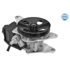 Servopumpe 30-14 631 0009