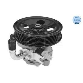 Servopumpe von MEYLE für SORENTO II (XM) günstig online kaufen