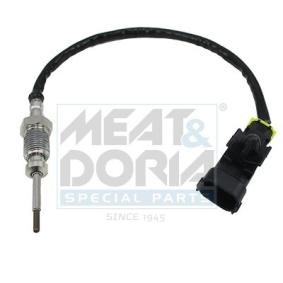 Abgastemperatursensor 12032E