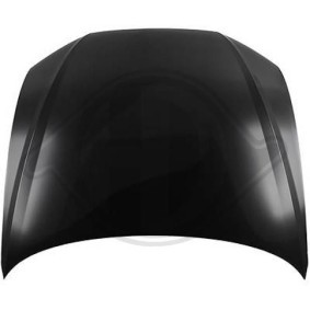 Motorhaube 1029000