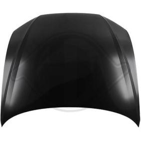 Motorhaube 1029001