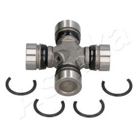 Compre Articulação, veio longitudinal da ASHIKA 66-09-916 a um preço baixo por 18,05 €