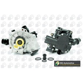 Wasserpumpe CP0157 für CUPRA
