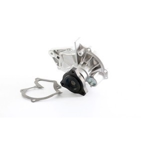 Achetez des Pompe à eau BSG BSG 30-500-023 à prix pour 53,27 €