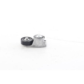 Comprar Tensor de correa poli V de BSG BSG 30-615-053 a bajo precio de 58,22 €