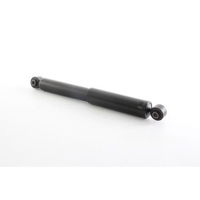 Compre Amortecedor da BSG BSG 40-300-079 a um preço baixo por 60,29 €