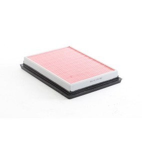 Acquista Filtro aria da BSG BSG 63-135-002 a buon mercato per soli 30,99 €
