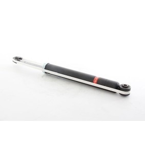Stoßdämpfer von BSG