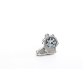 Osta Vesipumppu BSG:llä BSG 83-500-001 edullisesti hintaan 62,83 €