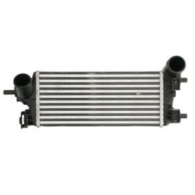Köp Intercooler av THERMOTEC DAG032TT till det låga priset 847,71 kr