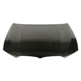 Motorhaube 6803-00-0064280P