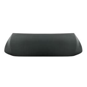 Motorhaube 6803-00-3570280AP