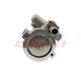 Servopumpe FT36246