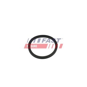 Achetez des Joint, pompe à vide FAST FT49853 à prix pour 12,19 €