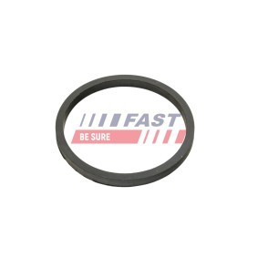 Compre Vareta do óleo de FAST online para Transit Mk7 Camião de plataforma / Chassis (V363, FED, FFD) a preços moderados