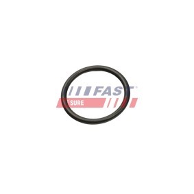 Comprar Válvula de admisión de FAST FT50013 a bajo precio de 13,34 €