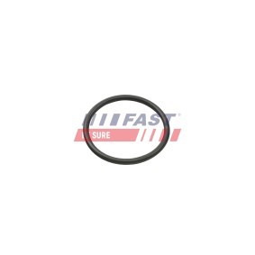 Ansaugbrücke FT50401 für FIAT