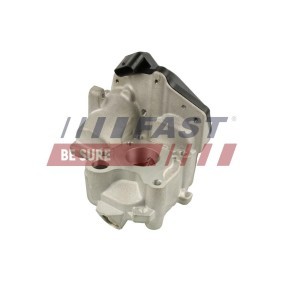 AGR-Ventil FT60218