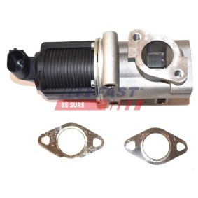 Acquista Valvola EGR da FAST FT60231 a buon mercato per soli 226,50 €