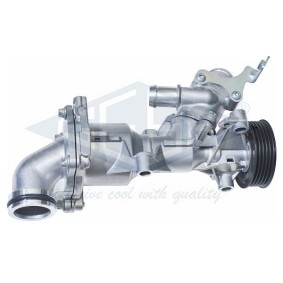 Achetez des Pompe à eau GEBA 13150 à prix pour 314,33 €