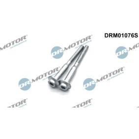 Schraube, Einspritzdüsenhalter DRM01076S