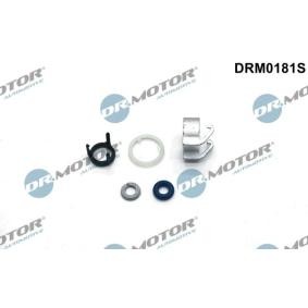 Injektor-Reparatursatz DRM0181S