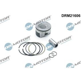 Kolben DRM21606