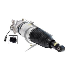 Comprar Amortiguador neumático de AIC 71081 a bajo precio de 1360,72 €